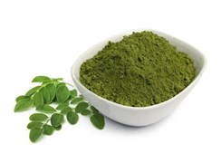 Моринга порошок, 100гр 5738