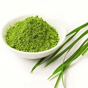 Витграсс, порошок, 100г х 3 штуки 6075